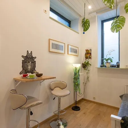 Apartment La Suspendue By Maison Brasseurs D'etoiles *